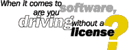 Software License